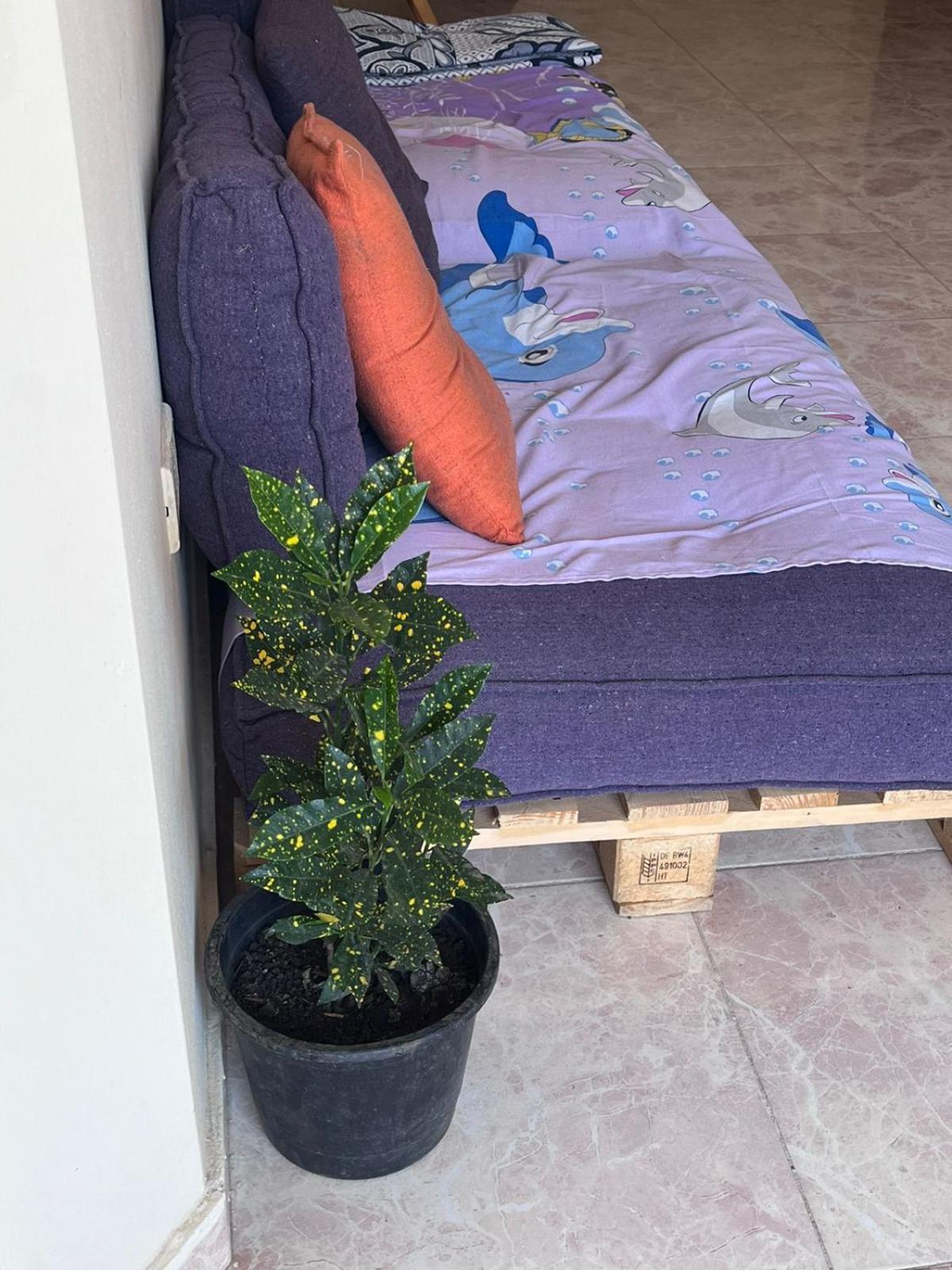 Bed In Raheem Guest House More Than Accommodation Kairo Eksteriør billede